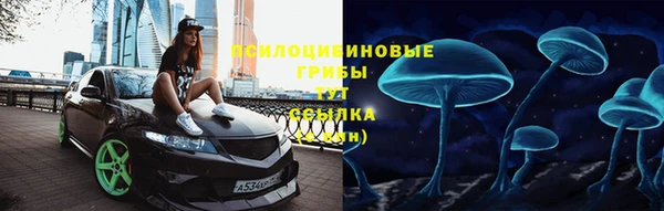 PSILOCYBIN Алексеевка